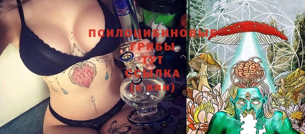 герыч Горняк