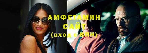 ПСИЛОЦИБИНОВЫЕ ГРИБЫ Дмитриев